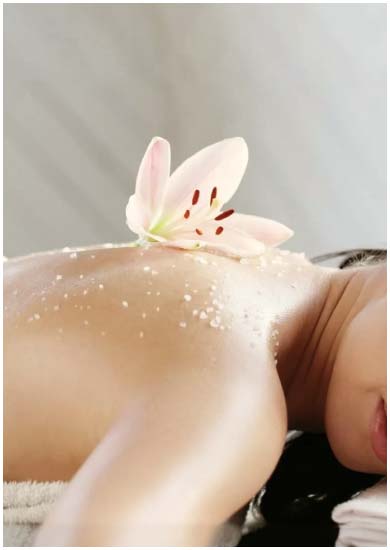 spa & wellness pula suites boutique resort