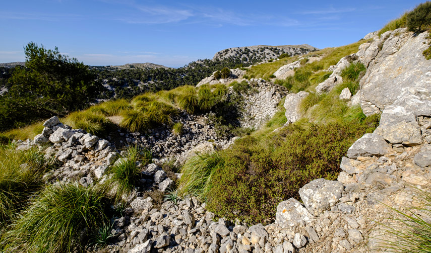 son servera mallorca